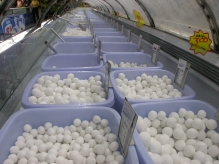 China - copyright by Reineke Otten