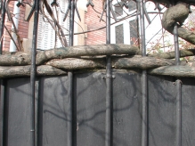 France - copyright by Reineke Otten